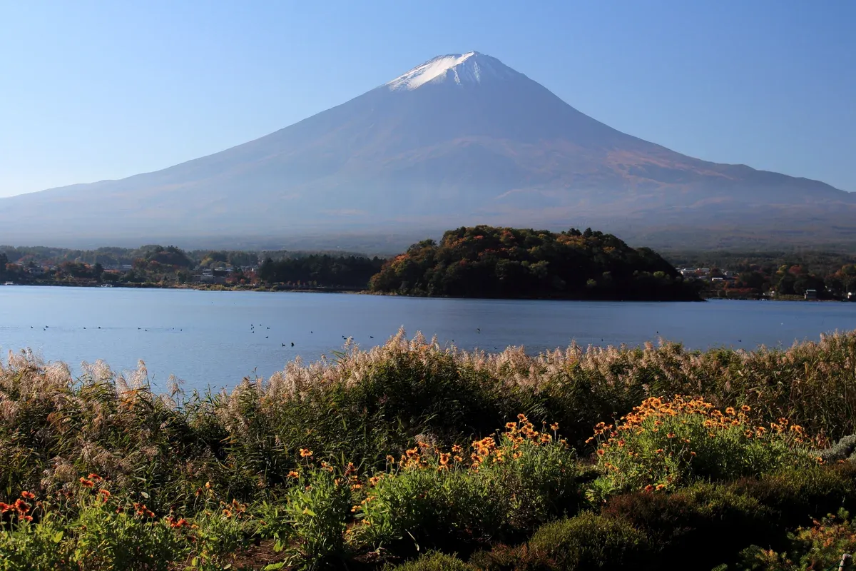 Mt Fuji above Lake Kawaguchi seen from Oishi Park on a Mt Fuji highlights day tour from Tokyo