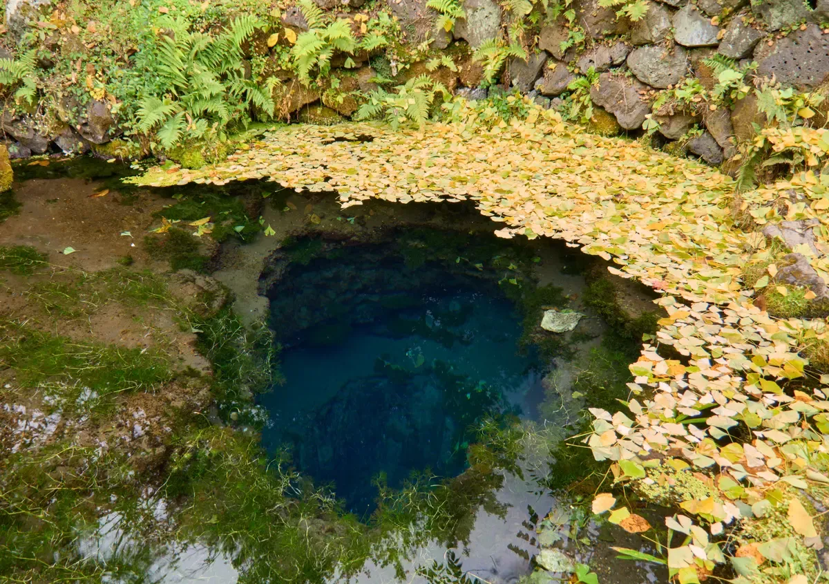 Clear spring pond at Oshino Hakkai on a Mt Fuji sightseeing day trip from Tokyo