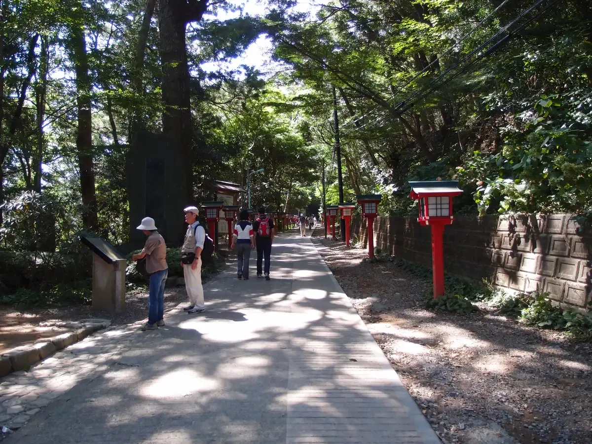 Lantern-lined path to Yakuo-in temple on Mount Takao on a free day trip from Tokyo